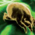 efficace depurazione dell'aria contro i pollini, le spore,gli allergeni degli acari della polvere e il particolato in genere
